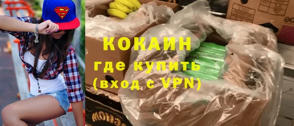 хмурый Алексин