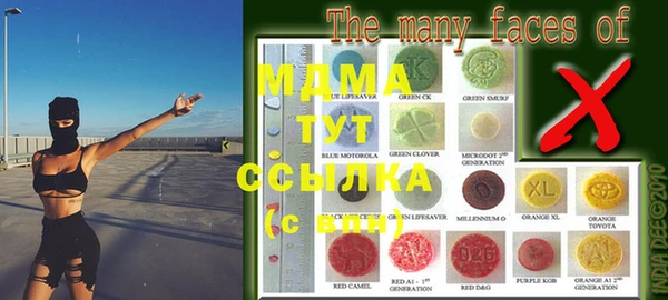хмурый Алексин